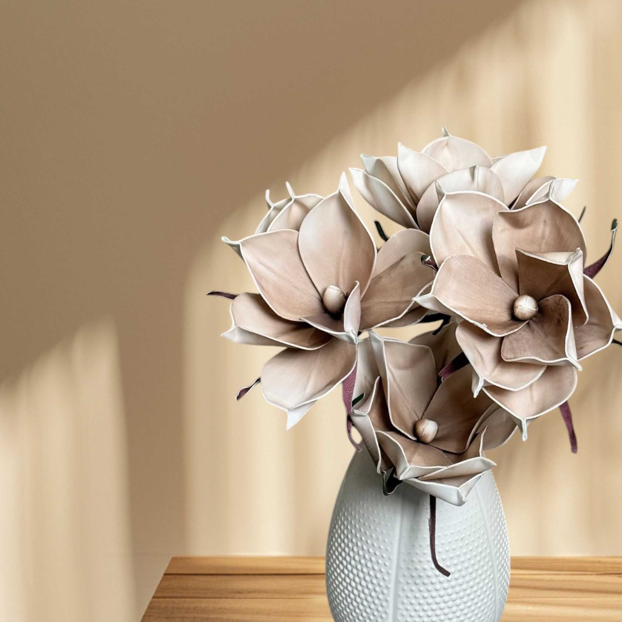 Magnolia Brown Flower
