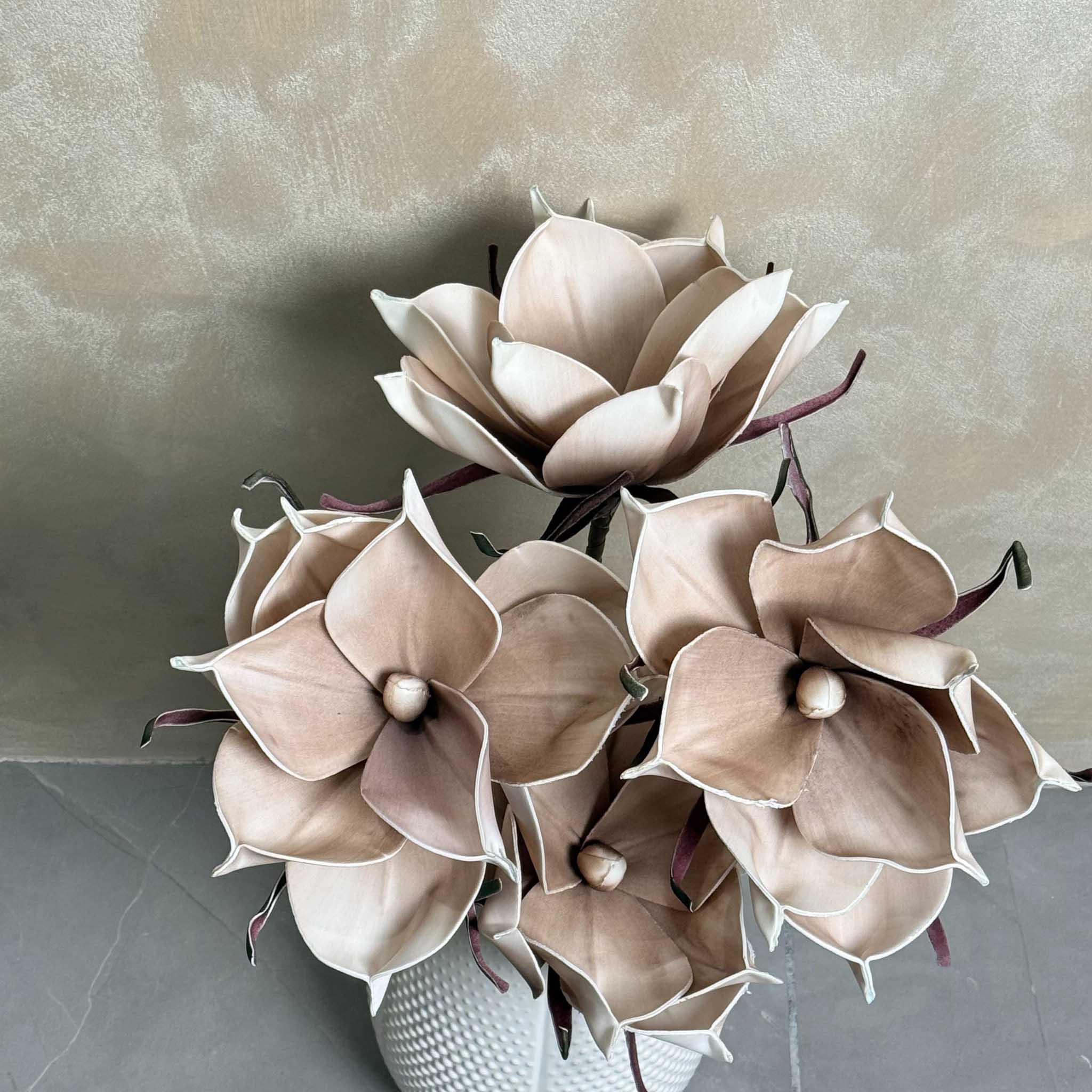 Magnolia Brown Flower