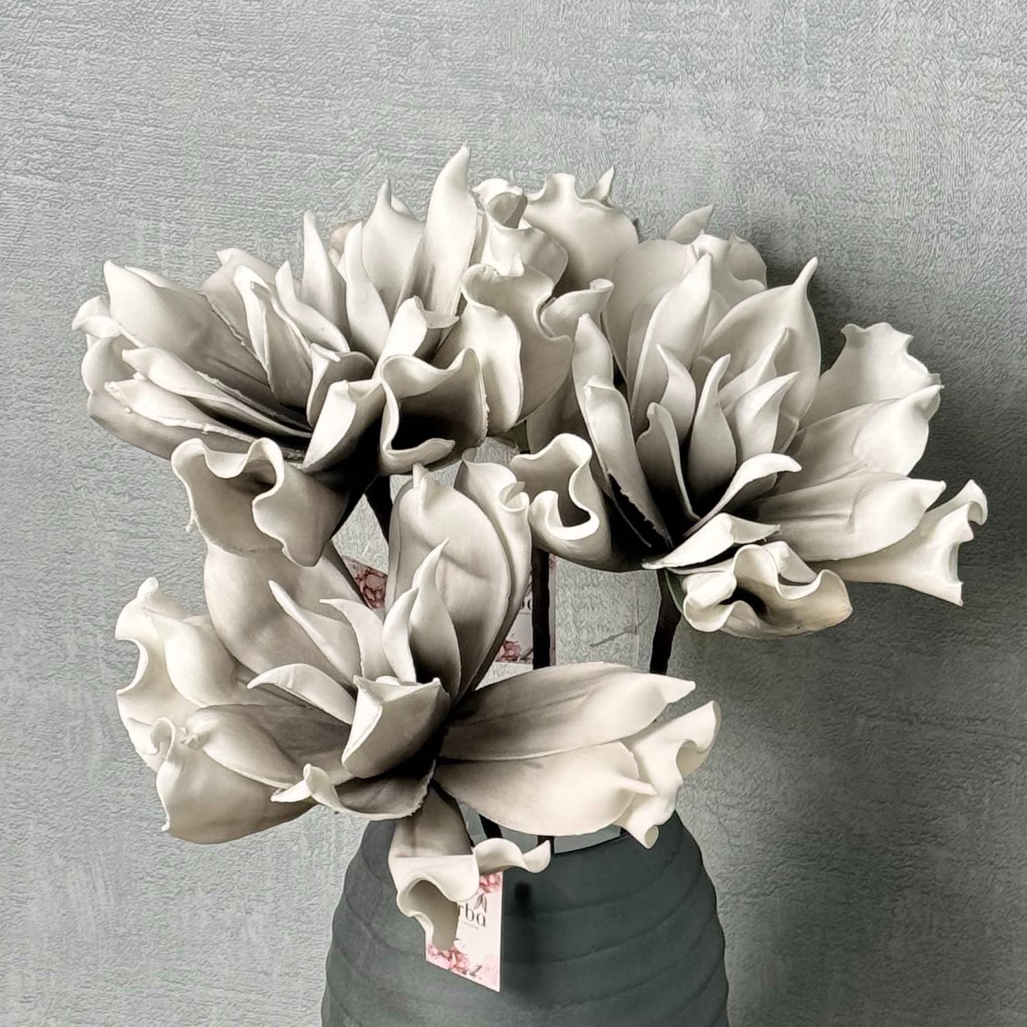 Dahlia White