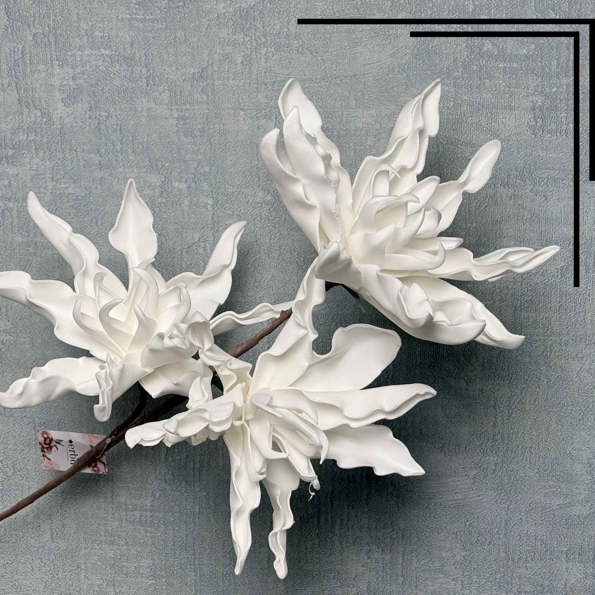 Magnolia Crush White