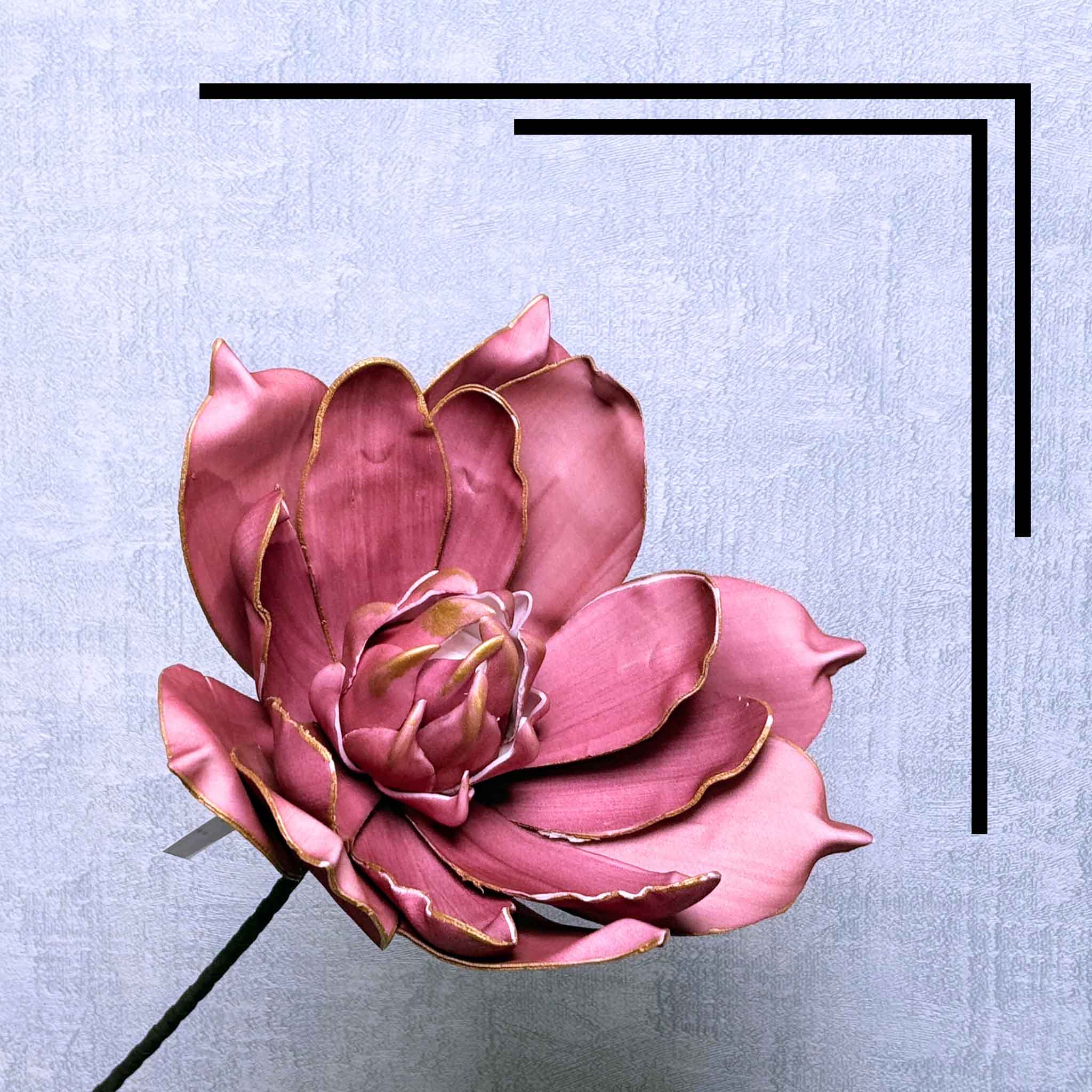 Lotus Dahlia Pink