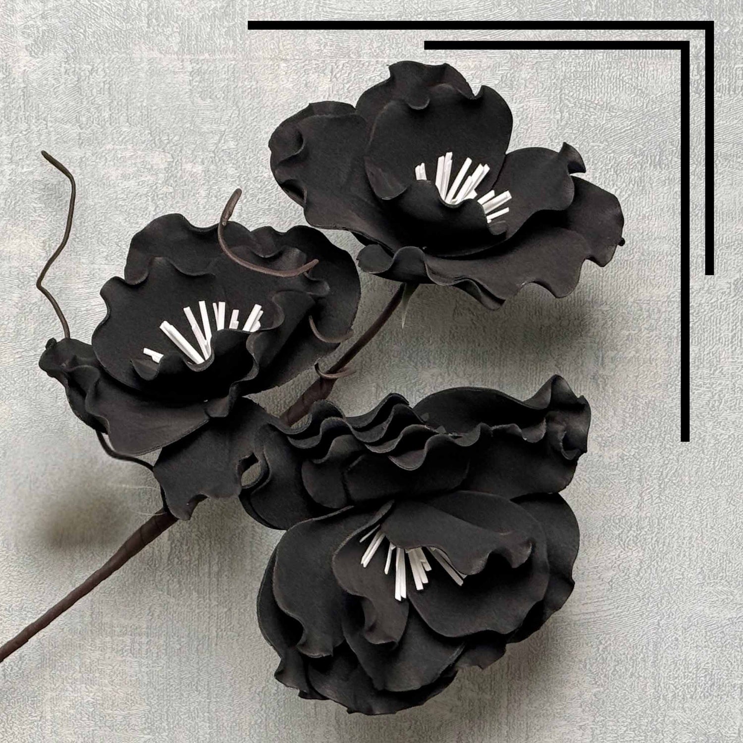 Ruffle Poppies Black bunch
