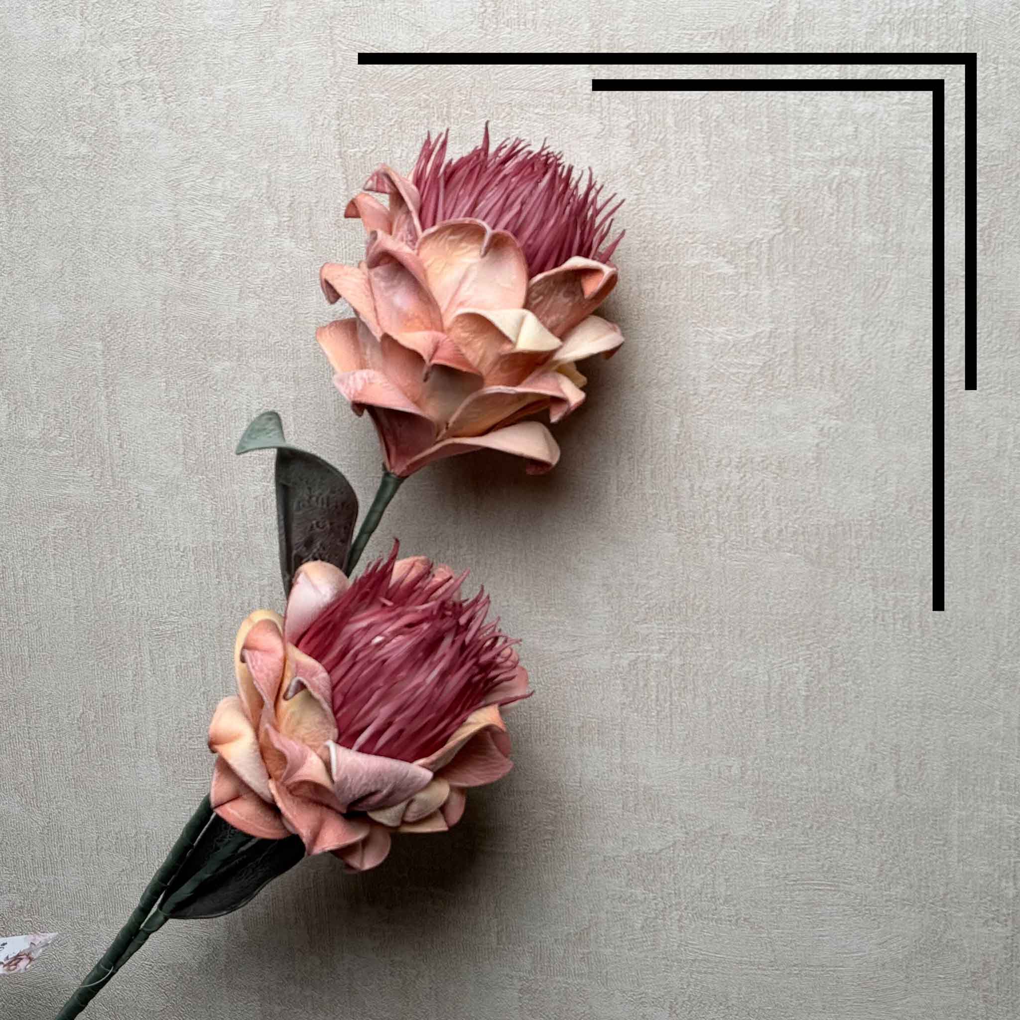 Protea Bloom Pink