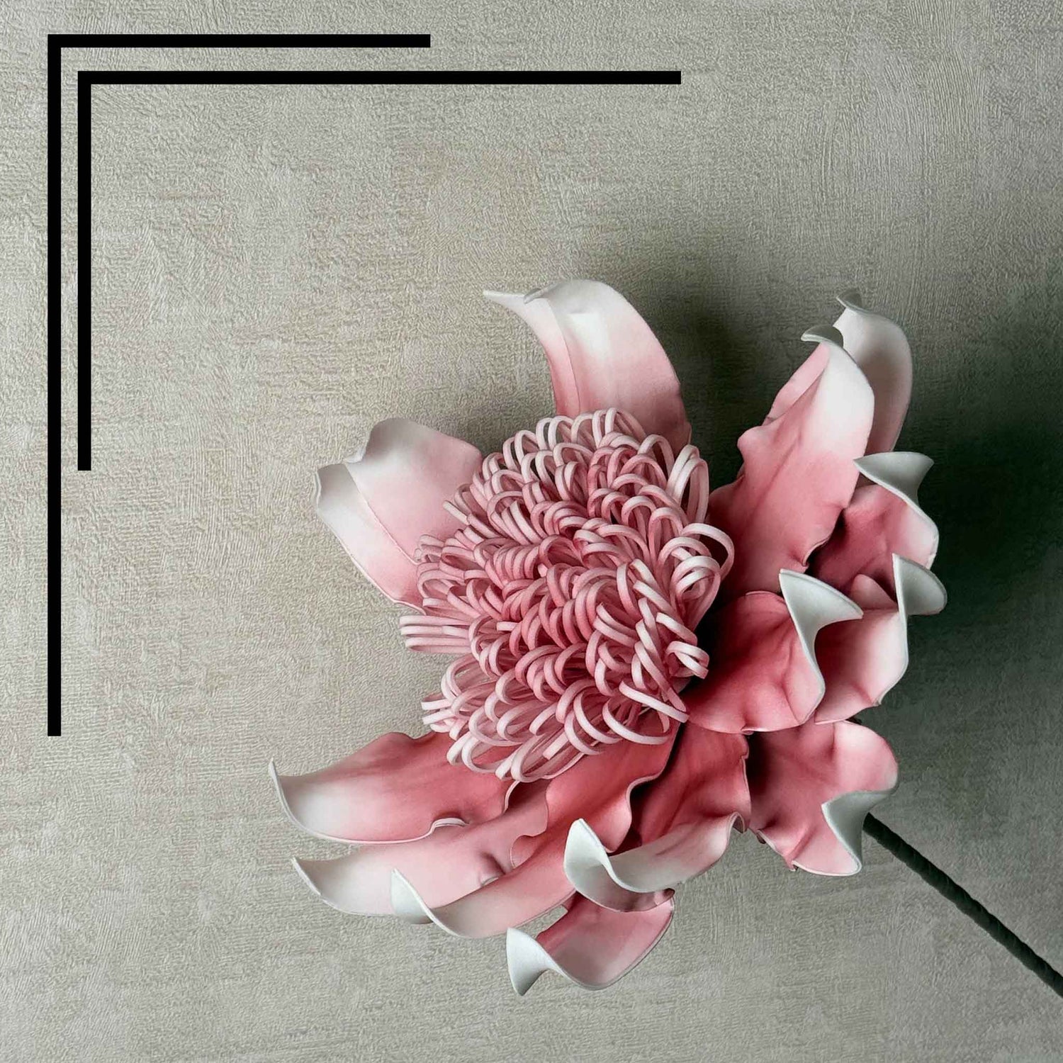 Sunflower Pink