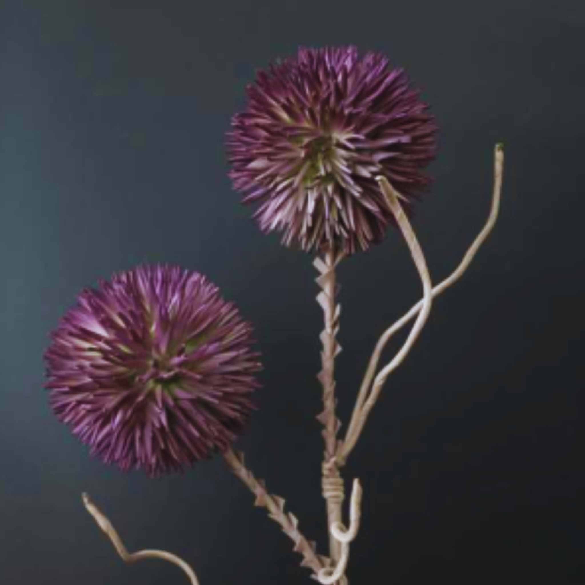 Thistle Purple