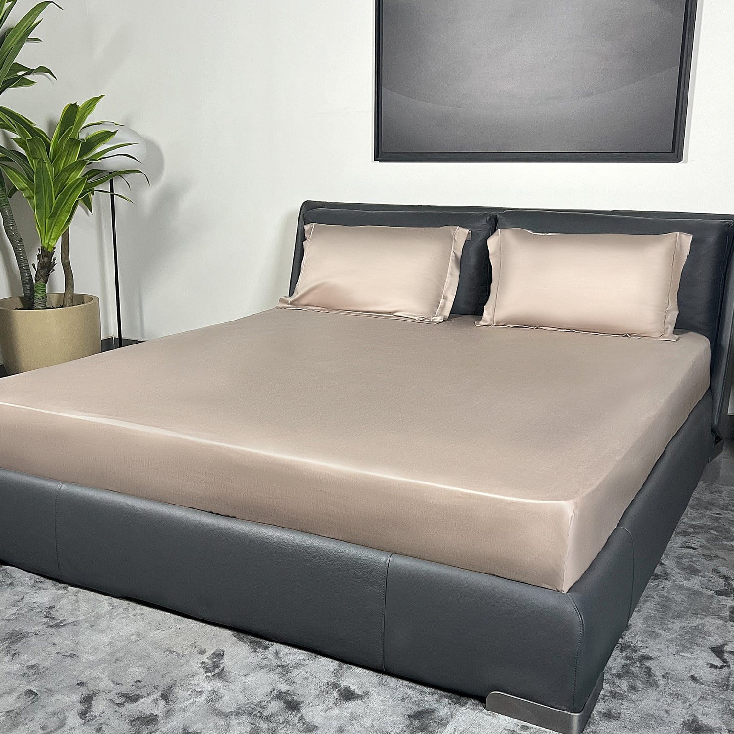 Bedsheet Set  Torino