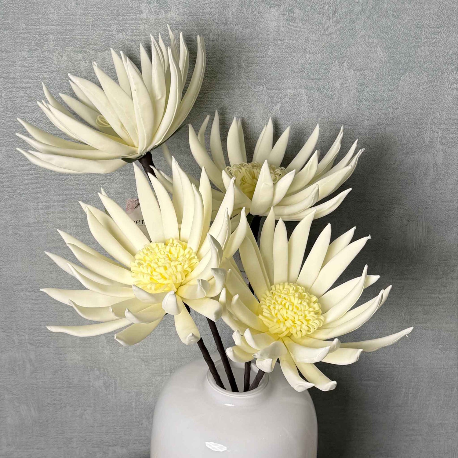Daisy White