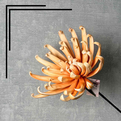 Spider Lilly Orange