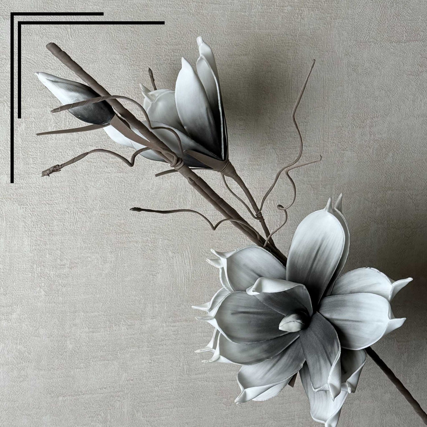 Magnolia Grey bunch